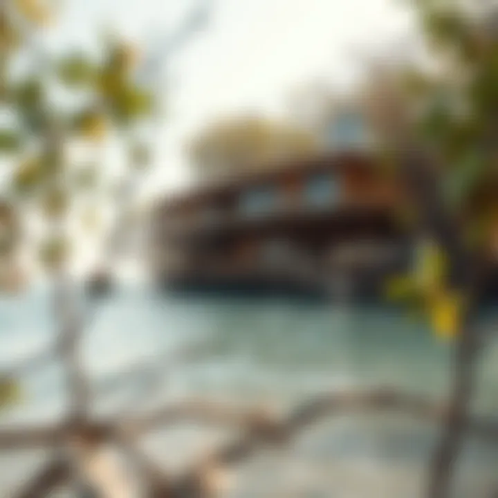 Magnificent Exploring the Mangrove Beach of UAQ: An In-depth Analysis