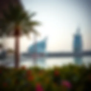 Magnificent The Current Status of La Mer Dubai: An Overview Magnificent The Current Status of La Mer Dubai: An Overview