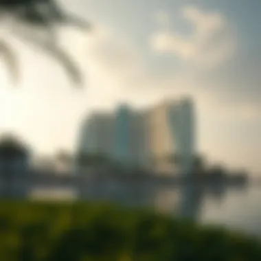 Magnificent Understanding Weather Patterns in Palm Jumeirah Magnificent Understanding Weather Patterns in Palm Jumeirah