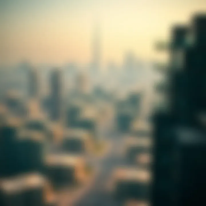 Overview of Dubai skyline with schools