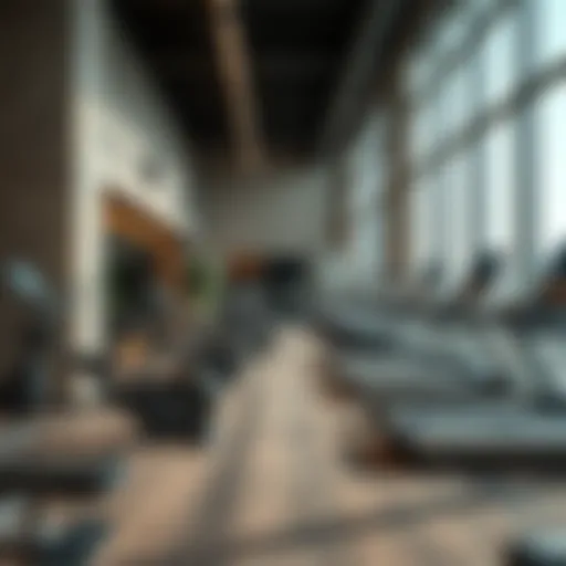 Best Gyms in Dubai: A Comprehensive Overview Introduction