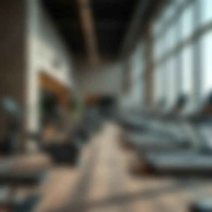 Best Gyms in Dubai: A Comprehensive Overview Introduction