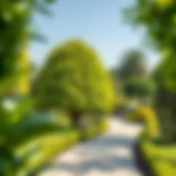 Lush greenery of Delma Park