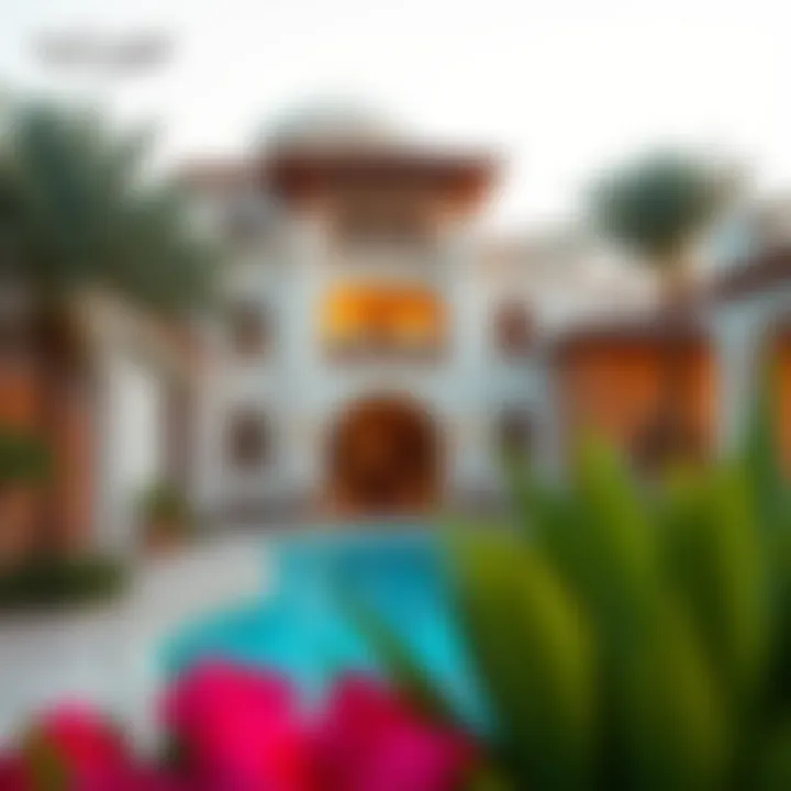 Exploring Al Ameera Village: A Comprehensive Guide Summary