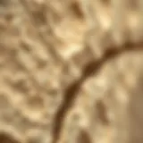 The unique texture of Sarooj Al Ain material