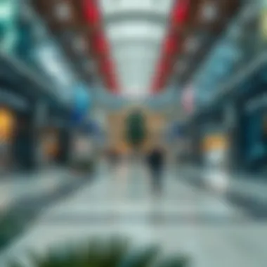 Exploring Silicon Avenue Mall: A Nexus of Commerce and Culture in Dubai Summary Exploring Silicon Avenue Mall: A Nexus of Commerce and Culture in Dubai Summary