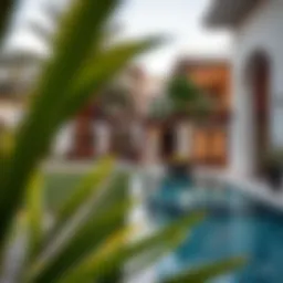 Serene garden view from a villa in Dubai