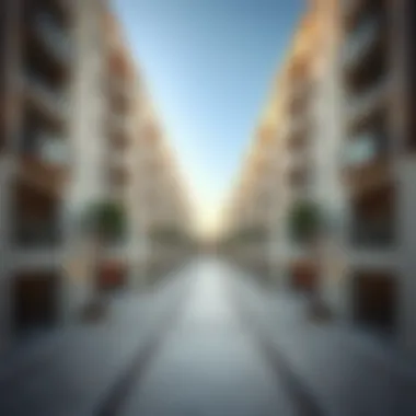 Notable Exploring the Dynamics of Ajman Al Jurf Notable Exploring the Dynamics of Ajman Al Jurf