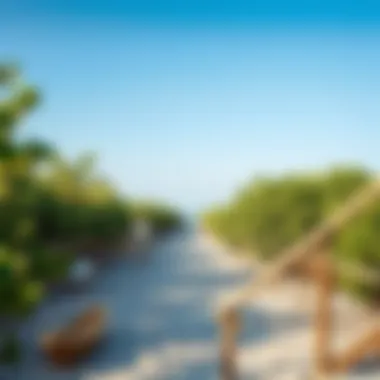 Notable Exploring the Mangrove Beach of UAQ: An In-depth Analysis Notable Exploring the Mangrove Beach of UAQ: An In-depth Analysis