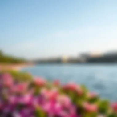 Lush Flora at the Shoreline A close-up of the vibrant flora along the shoreline of a Dubai lake.