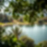 A panoramic view of one of Dubai's serene lakes surrounded by lush greenery.